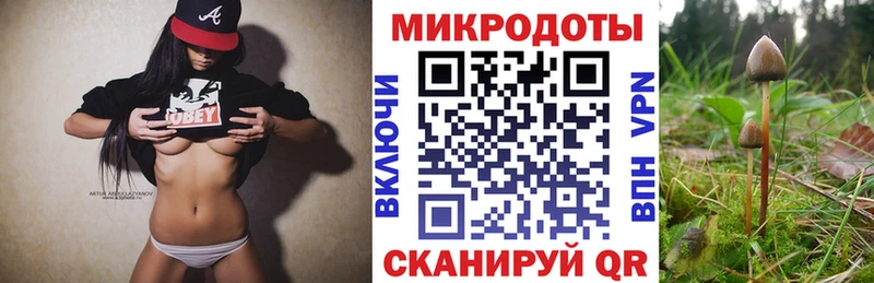 Купить  Добрянка  Галлюциногенные грибы GOLDEN TEACHER 